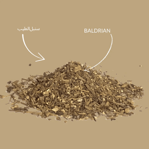 Baldrianwurzel geschnitten – سنبل‌الطیب – bazarlovers KT-Baldrian „Baldrianwurzel im Schälchen – Naturprodukt von bazarlovers“