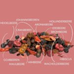 Früchtetee 12 Beeren mit intensiven Waldfrüchten – bazarlovers.com