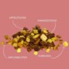 Indische Mango – Früchtetee mit exotischem Geschmack | bazarlovers.com