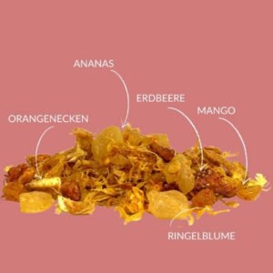 Früchtetee Mango Mambo mit Mango- und Ananasstücken – exotisch & sonnig