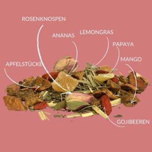 Türkischer Apfeltee mit Mango und Minze – exotisch & erfrischend