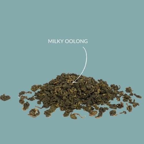 Milky Oolong Tee – Cremig & mild | bazarlovers.com