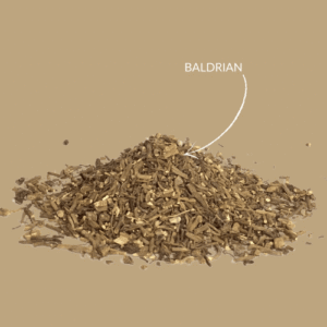 Baldrian Kräutertee – geschnittene Baldrianwurzel, naturrein & beruhigend