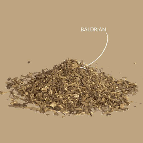 Baldrian Kräutertee – geschnittene Baldrianwurzel, naturrein & beruhigend