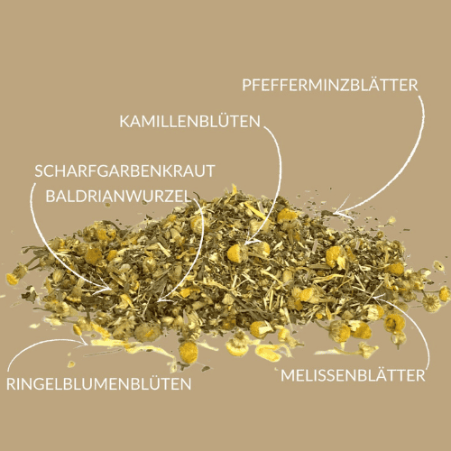 Magenperle® Kräutertee mit Fenchel, Kamille & Anis – mild & wohltuend für den Bauch