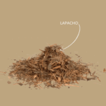 Lapacho Tee lose auf rustikalem Holztisch mit südamerikanischem Flair bei Tageslicht bazarlovers.com