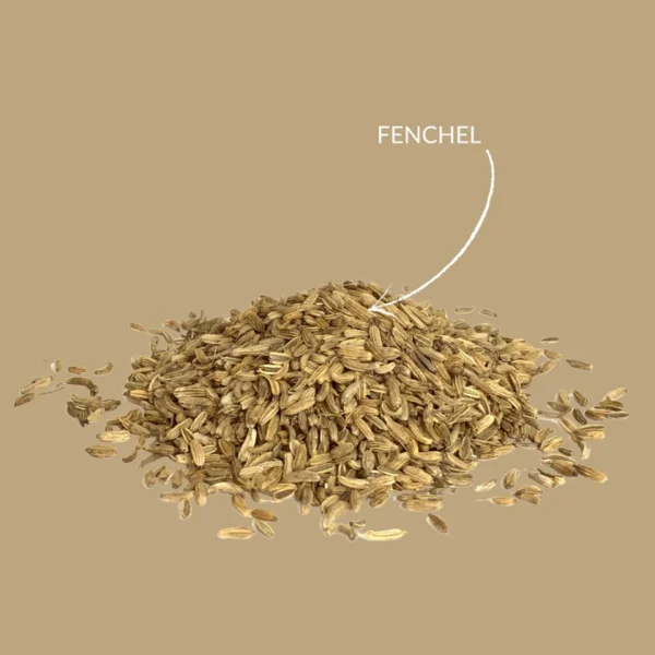 Fenchelsamen lose – naturreiner Kräutertee – bazarlovers Fencheltee goldgelb – aromatischer Aufguss – bazarlovers Fenchelsamen getrocknet – Detailaufnahme – bazarlovers