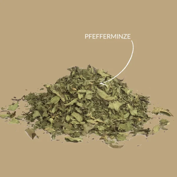 krautertee-pfefferminze-geschnitten Pfefferminzblätter lose – naturreiner Kräutertee – bazarlovers Getrocknete Pfefferminze – aromatischer Tee – bazarlovers Pfefferminztee lose im Glas – bazarlovers